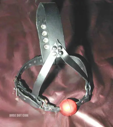 Head Harness With Ball Gag Huse Dot Com
