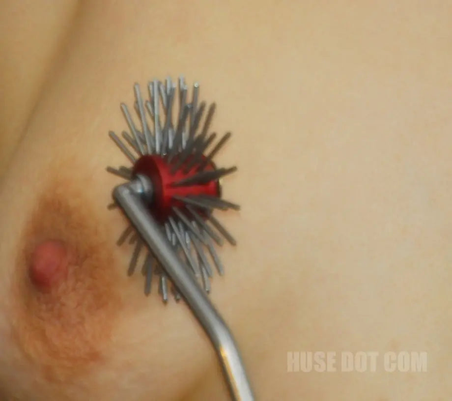 Beta Wheel Huse Dot Com