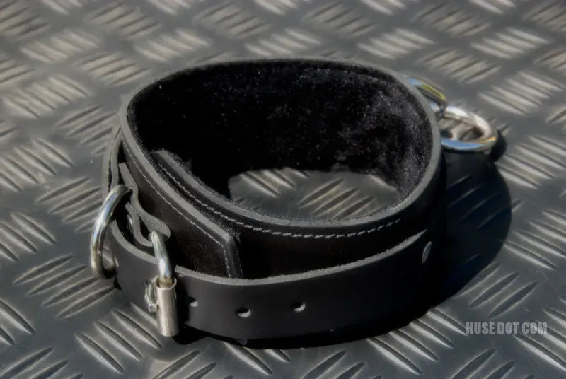Restraint Collar Huse Dot Com