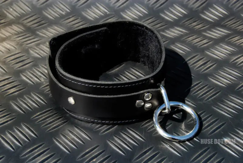 Restraint Collar Huse Dot Com