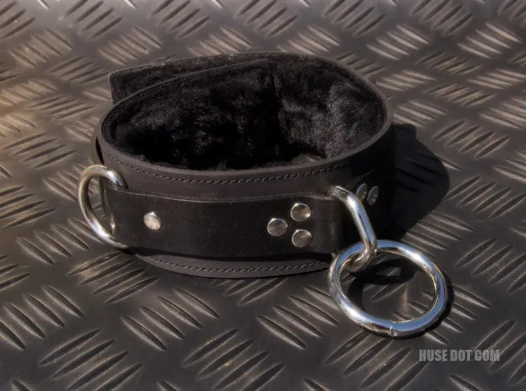 Restraint Collar with Rings Huse Dot Com