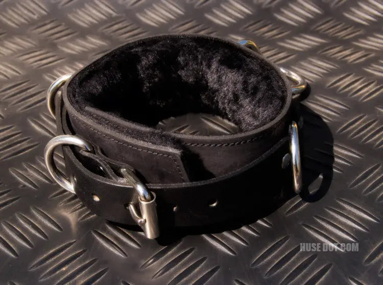 Restraint Collar with Rings Huse Dot Com