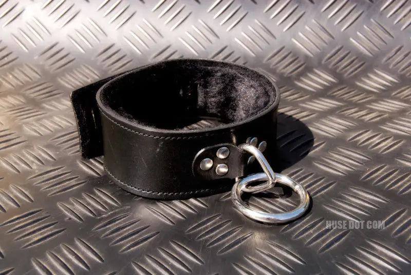 Fleece Lined Hasp Collar Huse Dot Com