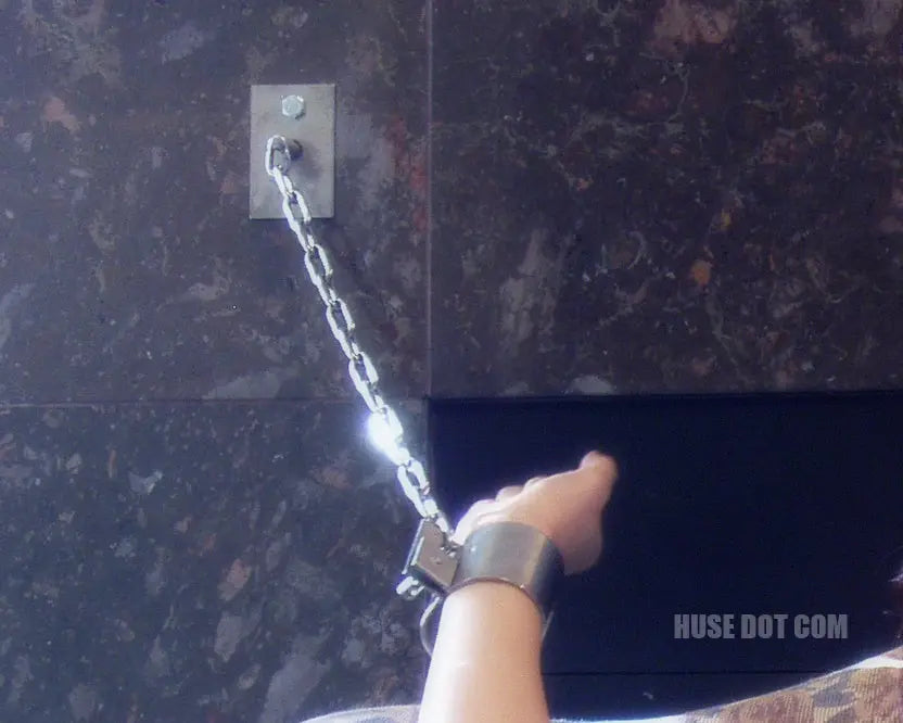 Stainless Steel Wall Mount Manacles Huse Dot Com