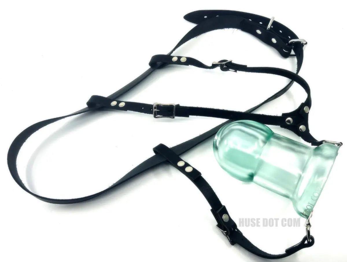 Anal Dilator Harness Huse Dot Com