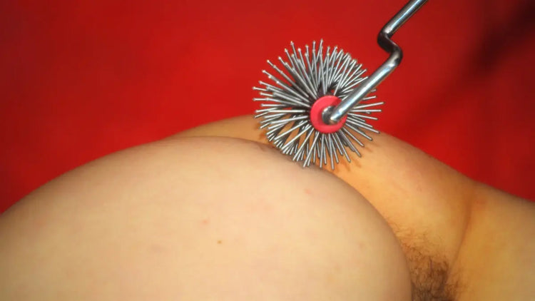 Pinwheels Huse Dot Com