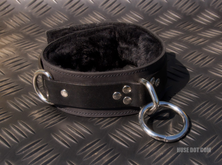 Restraint Collar with Rings