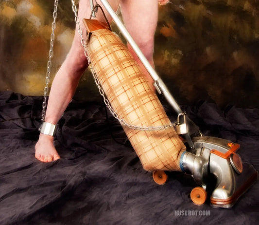 Stainless Steel Single Ankle Manacle Huse Dot Com