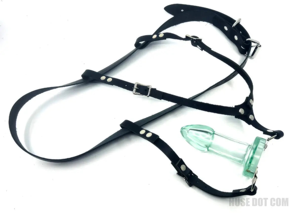 Anal Dilator Harness Huse Dot Com