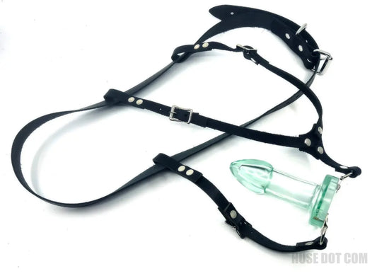 Anal Dilator Harness Huse Dot Com