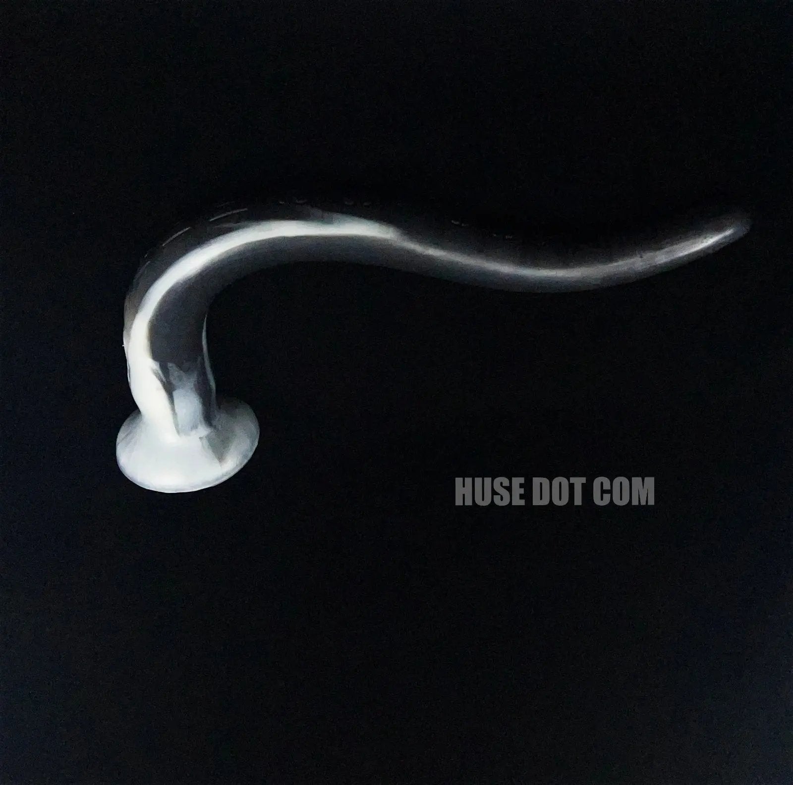 Anal Snake Orion Huse Dot Com