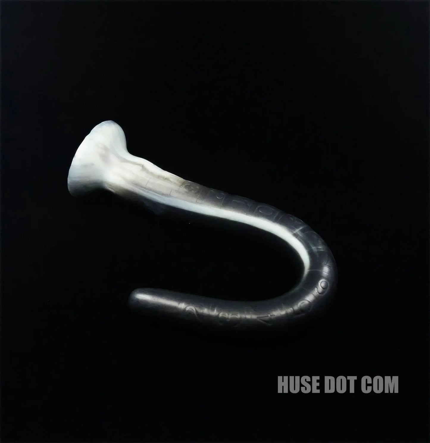 Anal Snake Orion Huse Dot Com