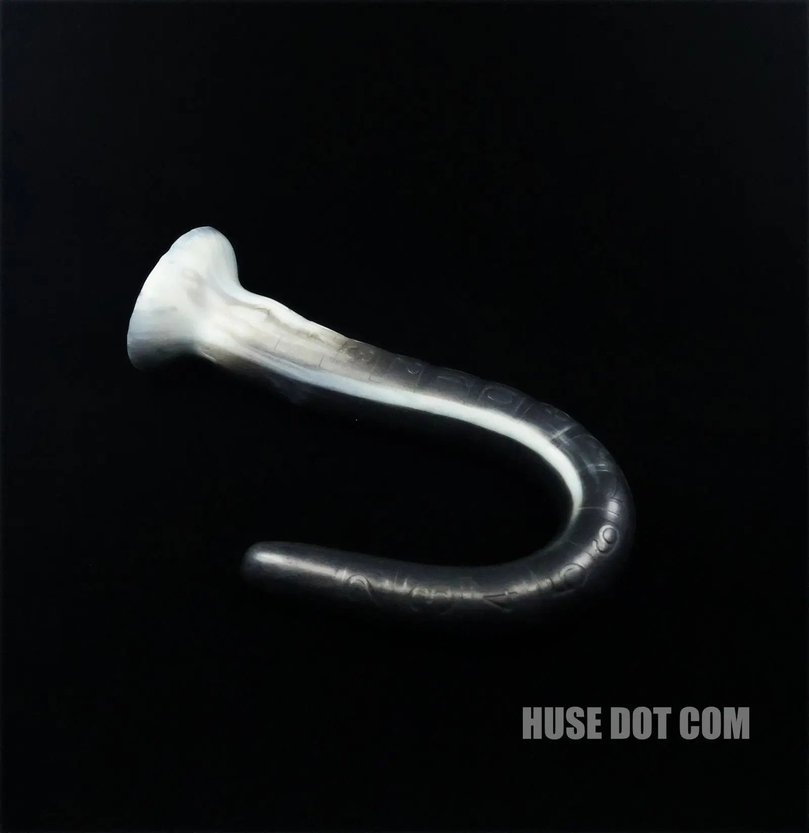 Anal Snake Orion Huse Dot Com